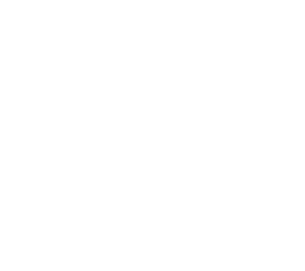 Simeon Experiential